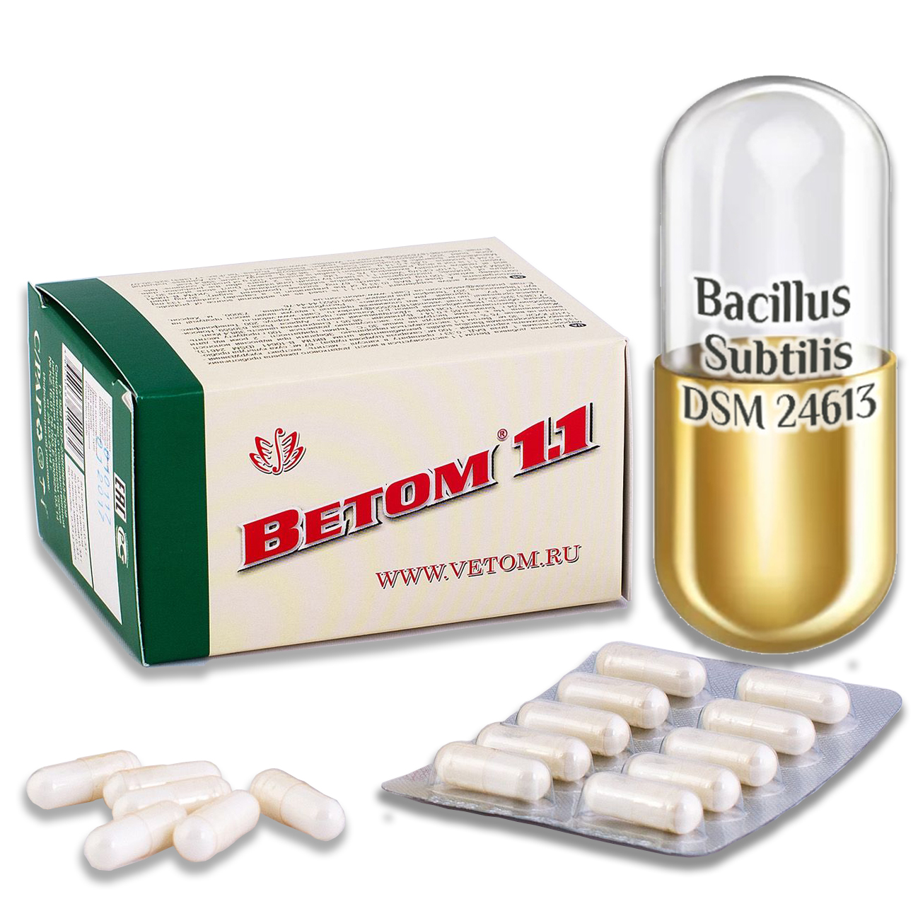 Vetom